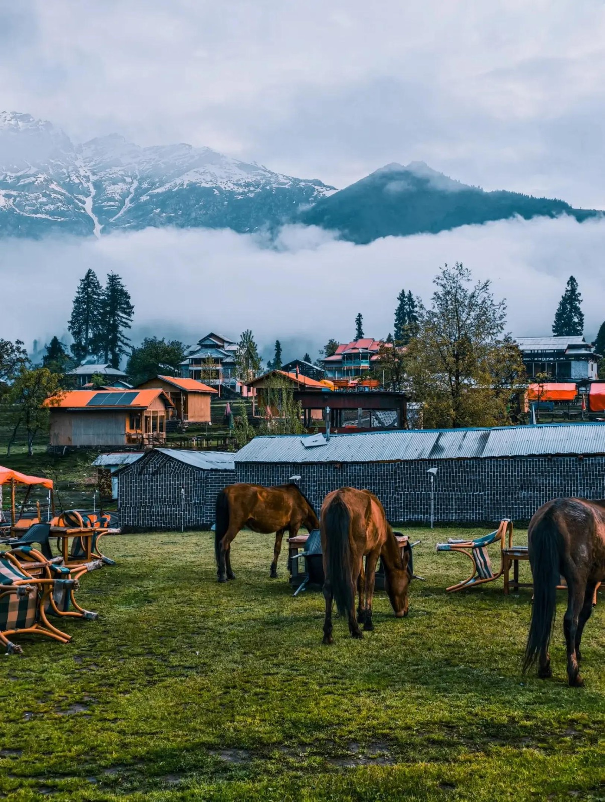 Kashmir tour — travel photo 2