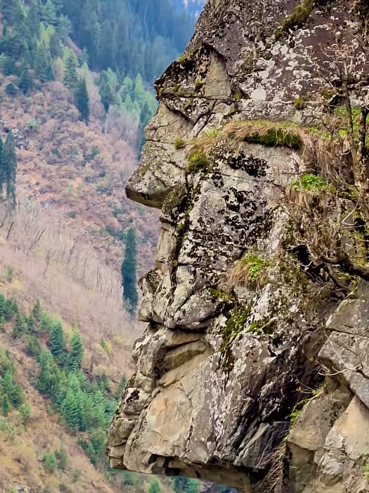 Kashmir tour — travel photo 6