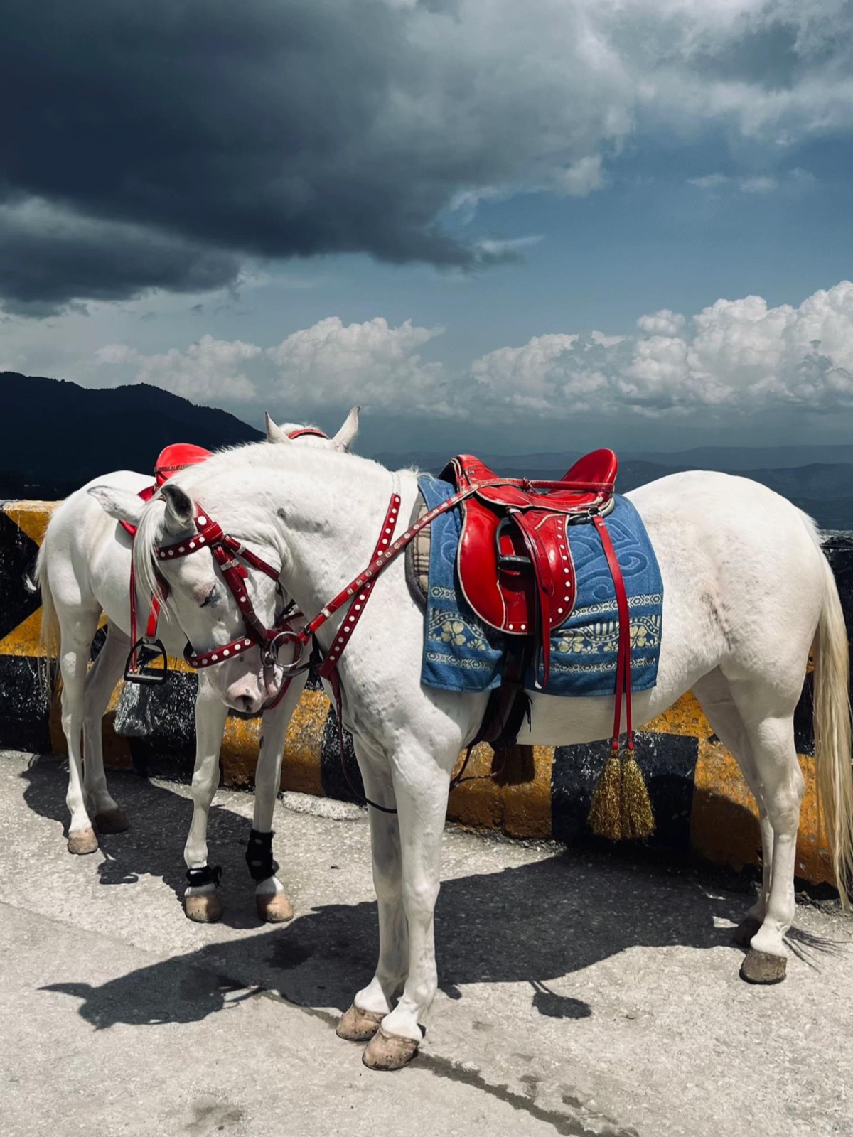 Murree tour — travel photo 2