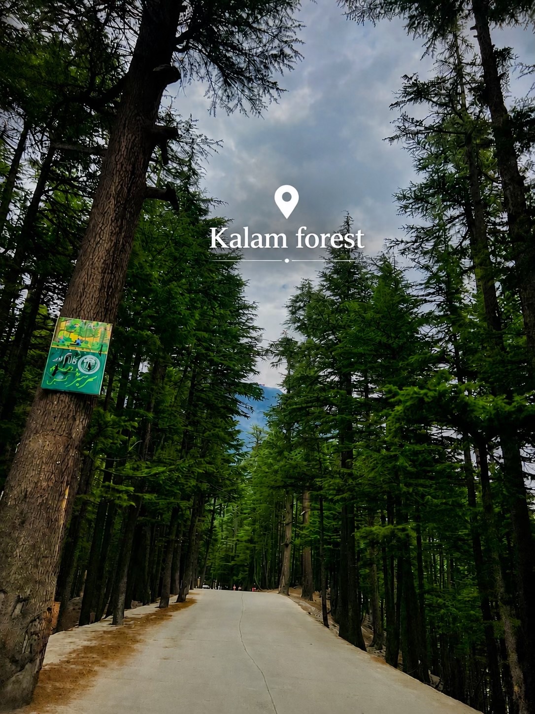 Swat tour — travel photo 8